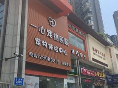 -创凡宠物医院·骨专科  猫科中心(西乡分院)