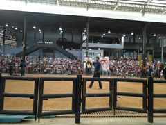 -东芭乐园