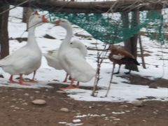 -淇河国家湿地公园