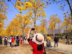 -南沙蒲洲花园