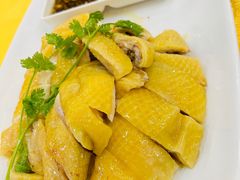 -巫记鸡饭店