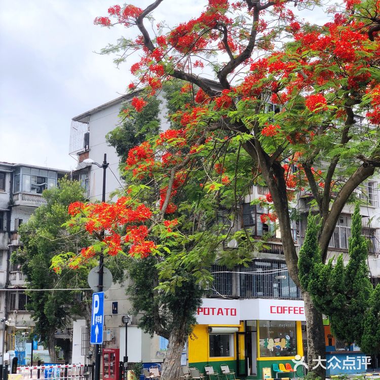 海边走起！土豆咖啡来了海霞新村
