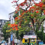 海边走起！土豆咖啡来了海霞新村