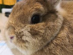 -雨林宠物医院 非犬猫异宠专科