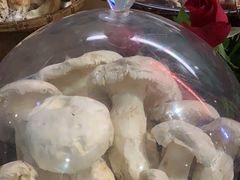-滇铺子(欣都龙城店)