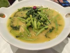 豆汤有机茼蒿-合兴居烤鸭店