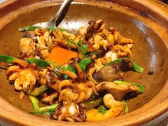 生啫八爪鱼-啫神·广州地标美食(北京路店)