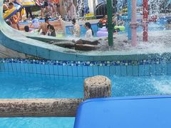 -重庆海昌加勒比海水世界