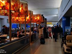 -纽瓦克自由国际机场