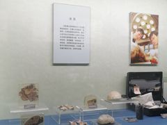 -上海公安博物馆
