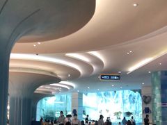 大堂-帝企鹅自助餐厅•儿童岛•真企鹅(长隆企鹅酒店)