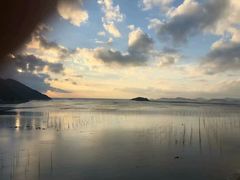 -北岐滩涂