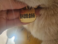 -派联宠物医院·24h·CT·异宠