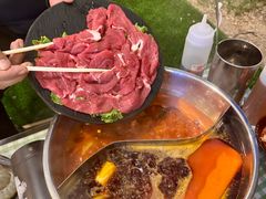 -十亩森林