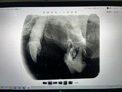 -美联众合动物医院·24h转诊中心