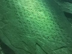 -白鹤梁水下博物馆