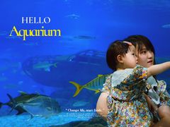 -福州罗源湾海洋世界旅游区