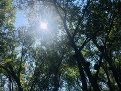 -长白岛森林公园