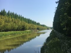 -黄海国家森林公园