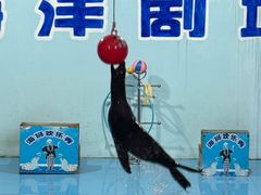 -无锡动物园·太湖欢乐园