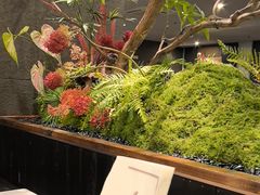 -峨嵋酒家(牡丹园店)