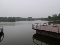 -东郊湿地公园