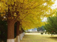 -辽宁大学(崇山校区)