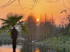 -浙江农林大学(东湖校区)