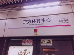 -东方体育中心(地铁站)