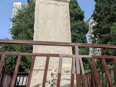 -团结湖公园