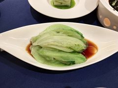 白灼生菜-维园悦谱·海派家常菜(乌鲁木齐南路店)