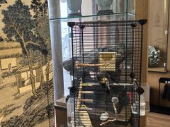 -阜昌典当行(阜成门店)