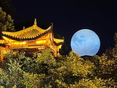 -巴倒烫陆派重庆火锅(南山店)
