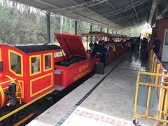 -新华百货CC Park购物广场