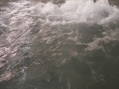 -南宫温泉水世界