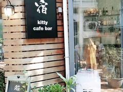-有猫主题·治愈系猫咖(曾厝垵店)