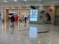 -凯德MALL(望京店)