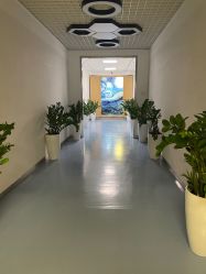 -丰联丽格医疗美容·联合丽格眼整形中心