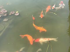 -晋江五店市传统文化旅游区