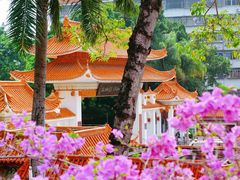 -深圳市中科院仙湖植物园