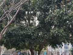 -荷风细雨·中国茶宴(碧云店)