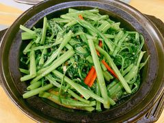 临高空心菜-东方之猪四更烤乳猪(金垦总店)