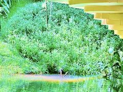 -云溪植物园