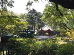 -申粤轩酒楼·三十年粤菜经典(丁香花园店)