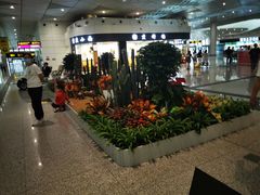 -郑州新郑国际机场
