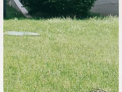 -长春公园(普阳街道)