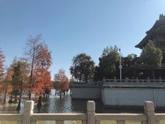 -顺峰山公园