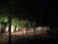 -清迈夜间动物园