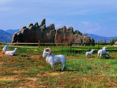 -敕勒川草原文化旅游区