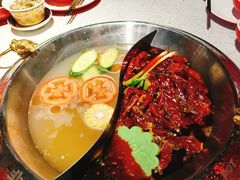-大龙燚·旷野鲜火锅(广州首店)